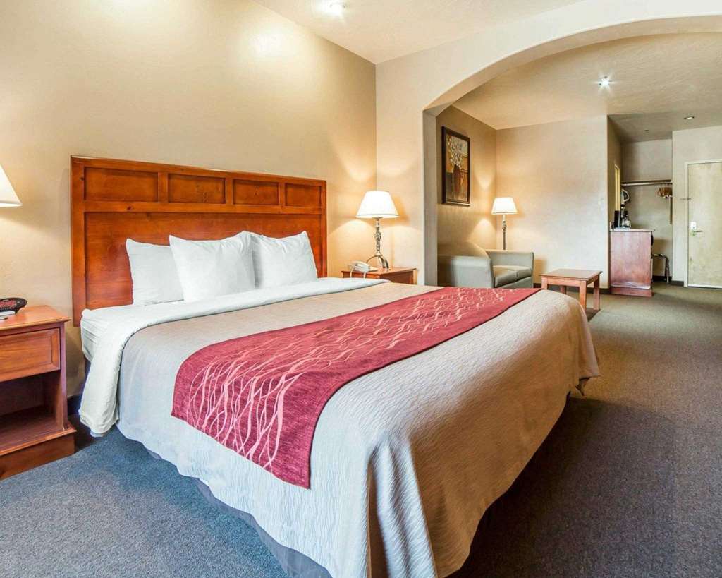 Comfort Inn at Convention Center Saint George Rom bilde